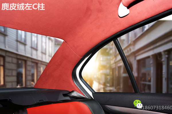 朗逸91抖音轻量版