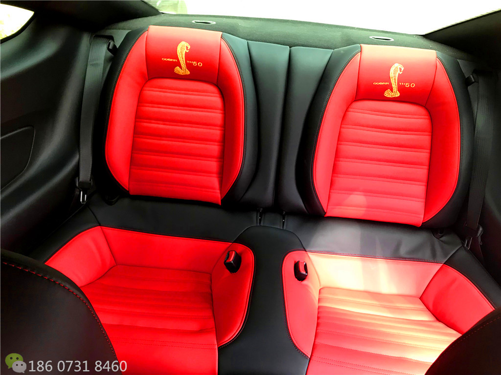 野马内饰91抖音视频黄升级碳纤内饰